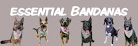 essential bandanas for dogs